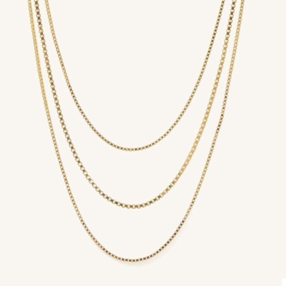 Mejuri Layered Necklace